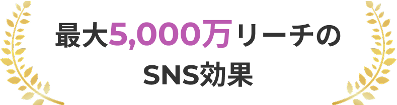 最大5,000万リーチのSNS効果